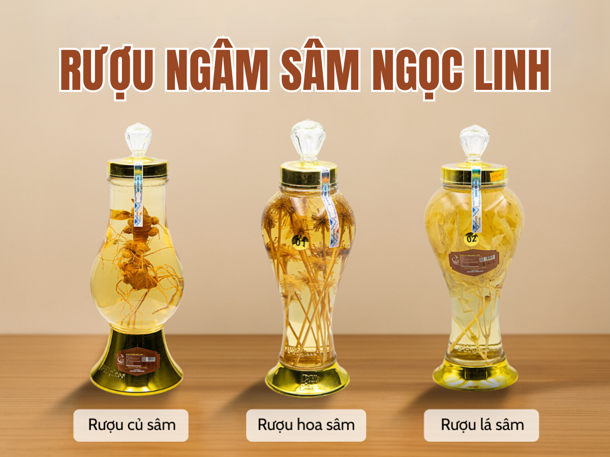rượu sâm Ngọc Linh TRIMICO